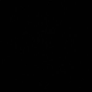 Meet your Posher, Janaya